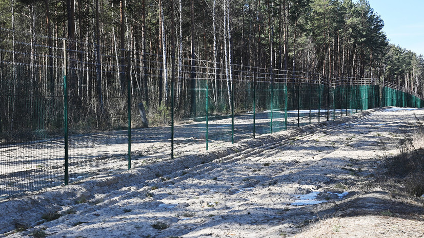 В Белоруссии назвали бесполезным для Киева возведение забора на границе
