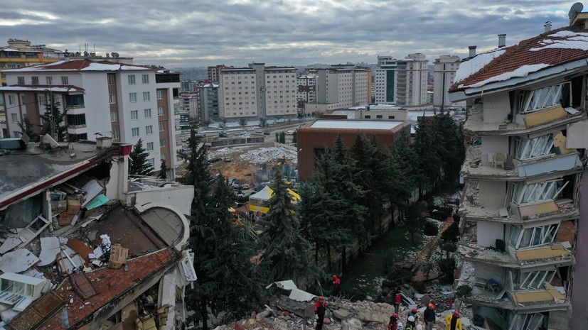 Сейсмолог Люсина не исключила афтершоки в зоне землетрясения в Турции ещё около полутора лет