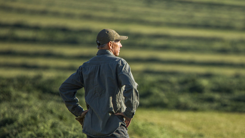 Приём заявок на грант «Ленинградский гектар» открыли в Ленобласти