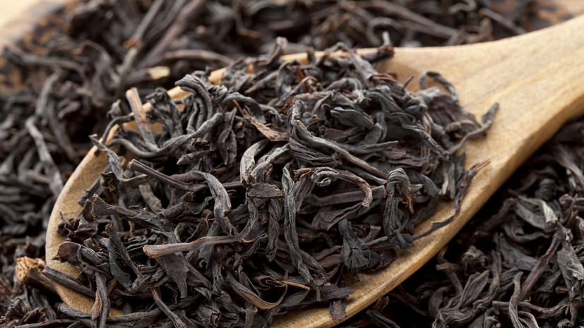 Объёмы производства чая в Подмосковье выросли в два раза в 2022 году