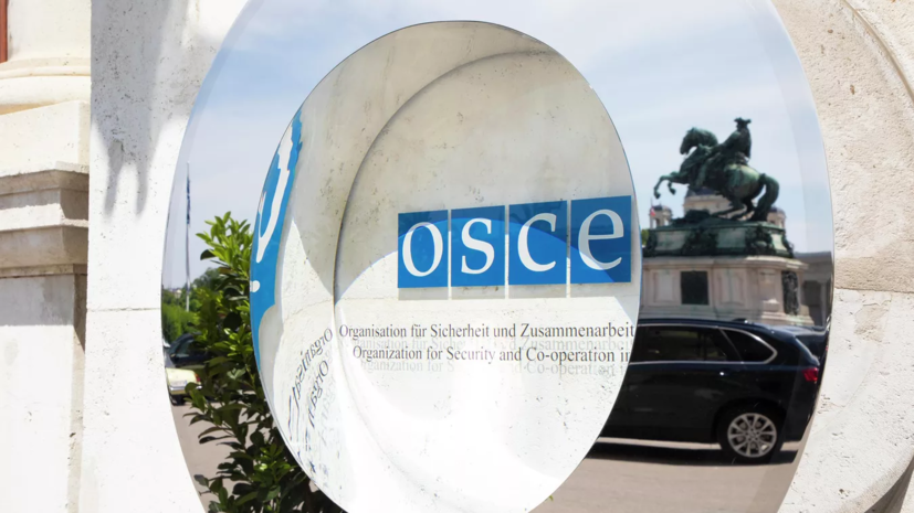 Гаврилов: Россия требует от ОБСЕ дать оценку фактам применения ВСУ химоружия в Донбассе