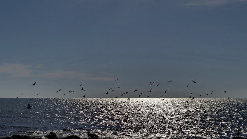 Росморречфлот: высота волн в Чёрном море в районе крушения судна достигает трёх метров