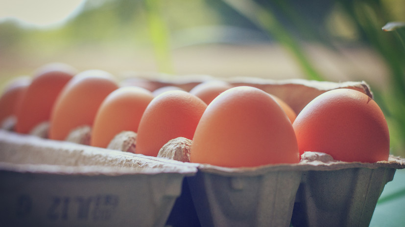 Диетолог Дианова предостерегла от чрезмерного потребления яиц