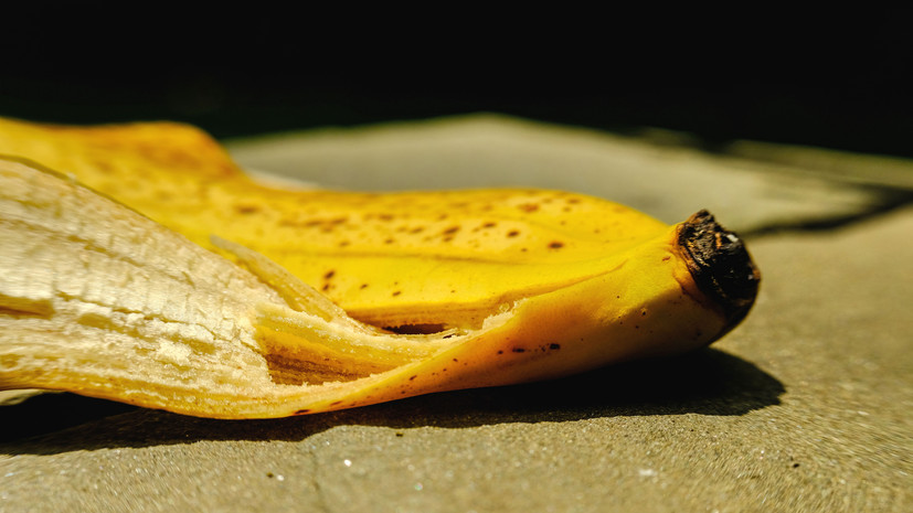 Малафеев: брошенный банан — это средневековье, полный идиотизм