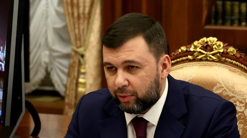 Пушилин отправил в отставку министра доходов и сборов ДНР Шмелёва
