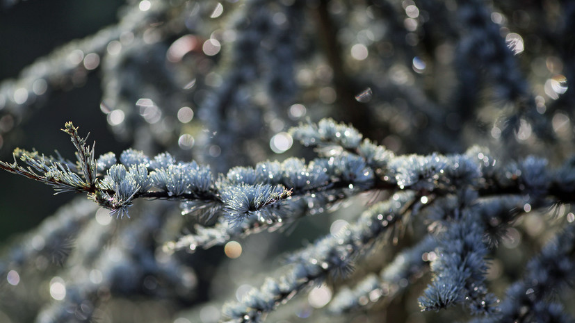 Синоптики пообещали холодное начало весны в Самарской области