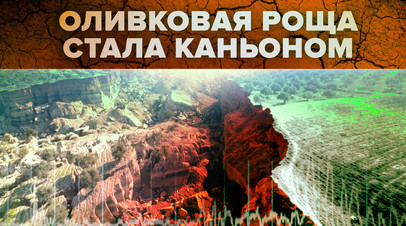 Оливковая роща после землетрясения в Турции превратилась в каньон видео