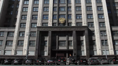 В Госдуме предложили расширить использование маткапитала