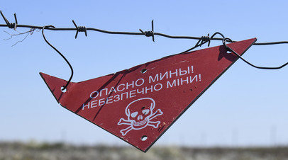 Wirtualna Polska: полиция Польши провела секретную операцию по разминированию на Украине