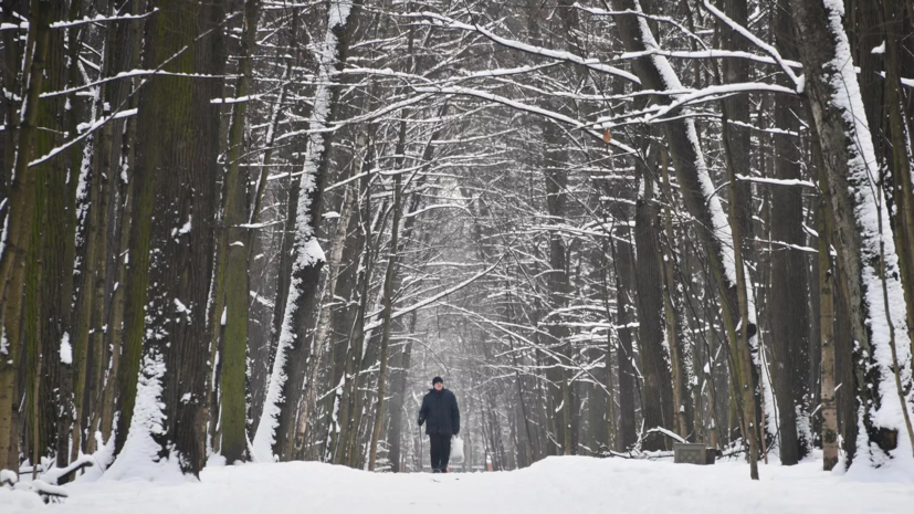 Власти рассказали о посещаемости парков Московской области