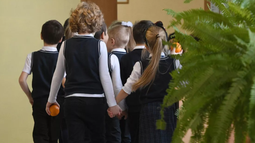Замглавы Минпросвещения: школы предлагается обязать закрепить требования к школьной форме