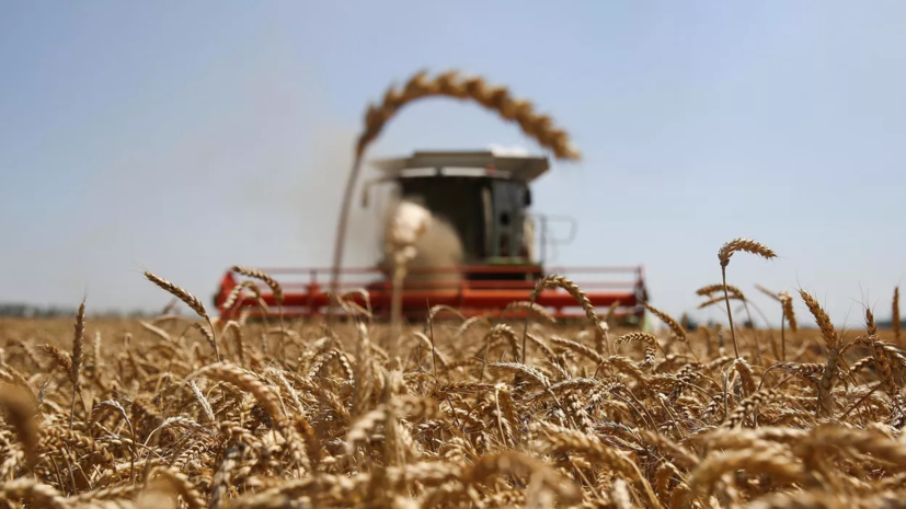 Bloomberg: Россия восстановила объёмы экспорта пшеницы до уровня 2020 года