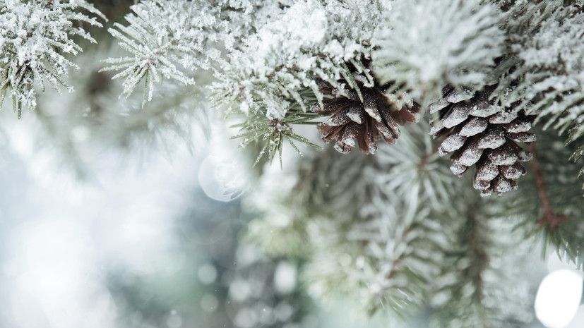 Синоптики предупредили о резком похолодании в Новосибирской области 9 марта