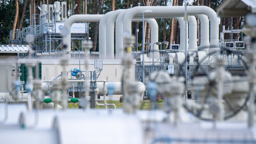 ФРГ приняла к сведению данные о причастности проукраинской группы к ЧП на «Северных потоках»