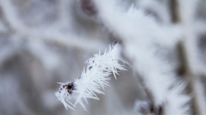 В Ленобласти ожидаются ночные морозы до -25 °С