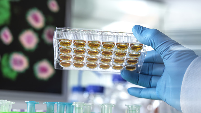 Палата представителей США приняла законопроект о раскрытии данных о происхождении COVID-19