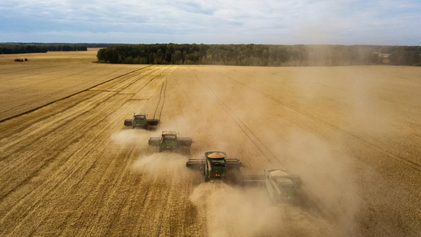 Постпредство России: заявление о продлении зерновой сделки на 120 дней некомпетентно