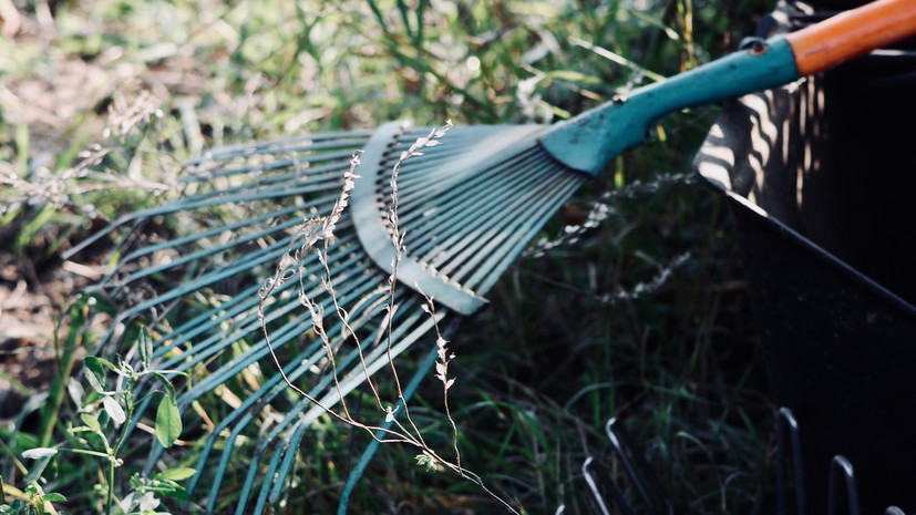 В Приморье проведут общекраевой субботник 25 марта