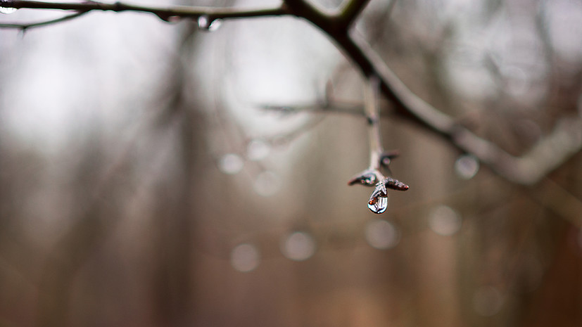 В Курганской области спрогнозировали потепление до +11 °С на выходных