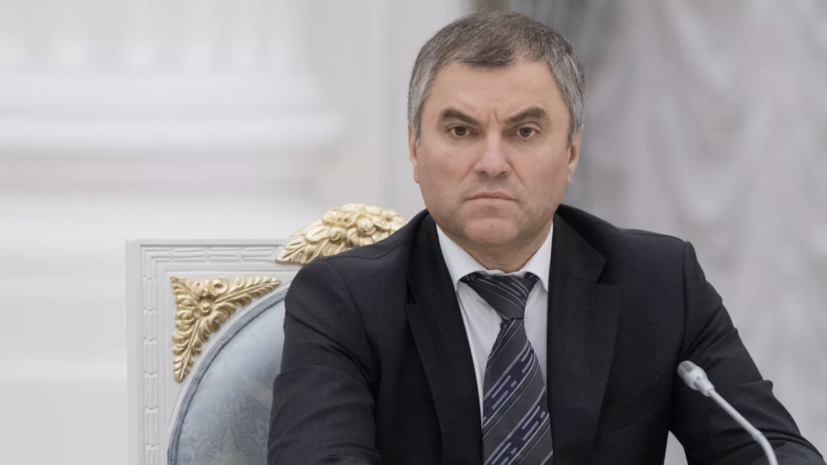 Володин призвал внести в законодательство изменения, запрещающие деятельность МУС в России