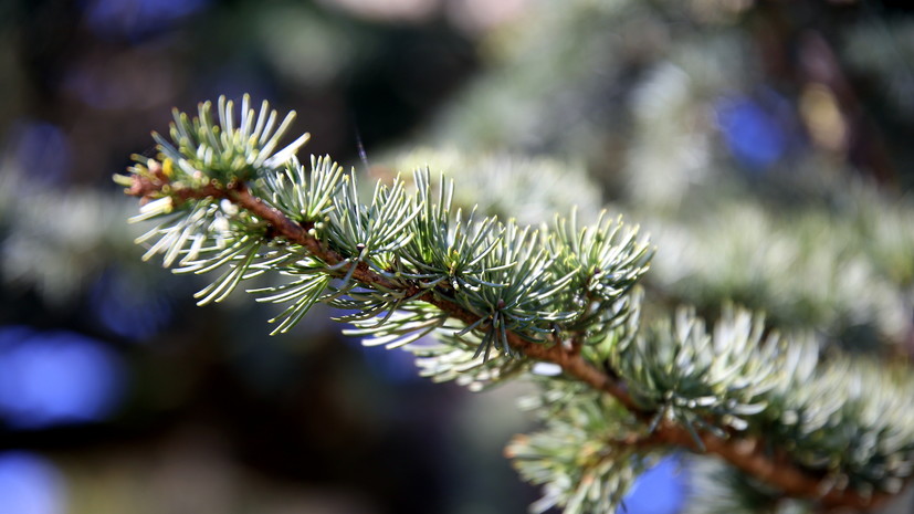 В Екатеринбурге установлен новый температурный рекорд