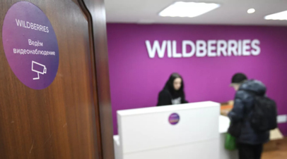 Wildberries создал с Опорой России группу по решению споров маркетплейса и партнёров