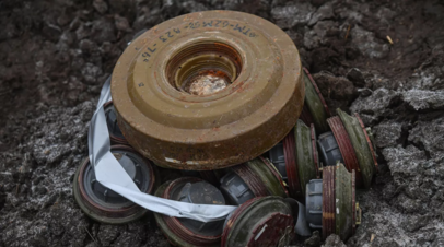 МВД: возле трассы в Запорожской области обнаружили неразорвавшиеся снаряды