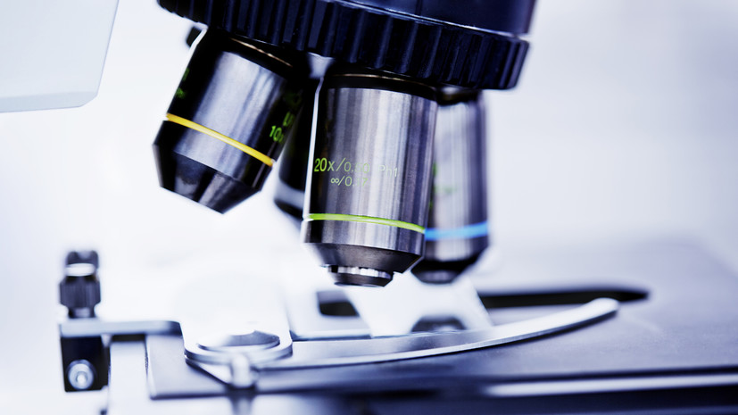 Роскачество нашло расхождения между фактическим составом мармелада и заявленным