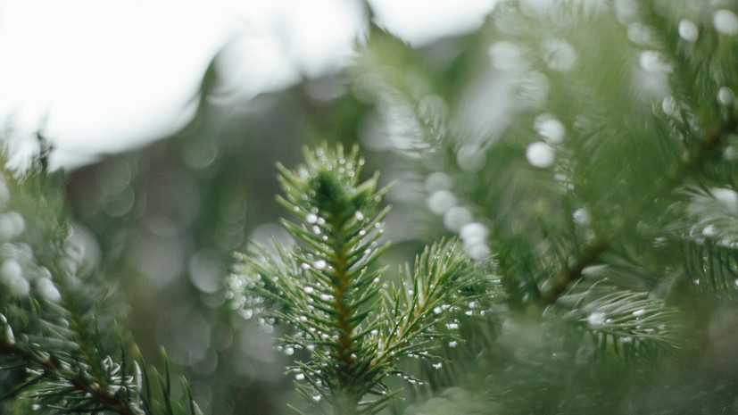 В Удмуртии 3 апреля был установлен новый температурный рекорд