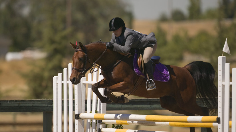 Кретов: спортсмены, сменившие гражданство, покинули свои должности в Федерации конного спорта