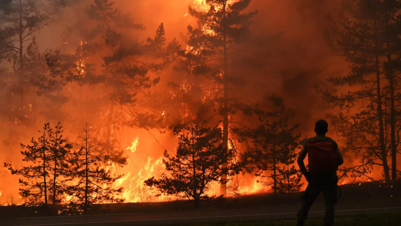 В Алтайском крае зафиксировали крупный лесной пожар в 10 км от села Бастан