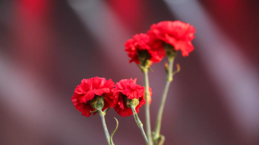 Писательница Энн Перри, в юности осуждённая за убийство, умерла в 84 года