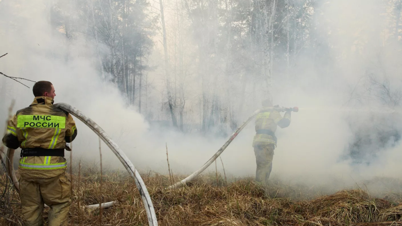 МЧС России: сухая трава загорелась в Татарстане