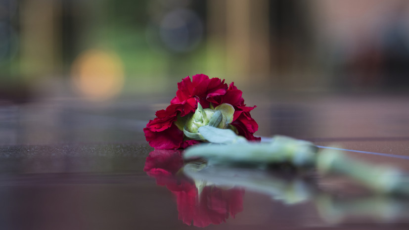 В России дан старт поисковому сезону в рамках «Вахты памяти — 2023»