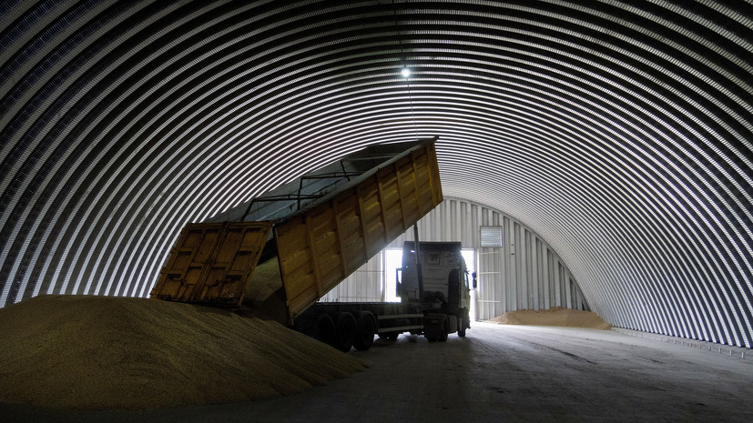 Болгария обсуждает временный запрет поставок зерна с Украины