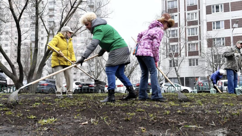 В рамках субботника в Москве высадили почти 1 тысячу деревьев