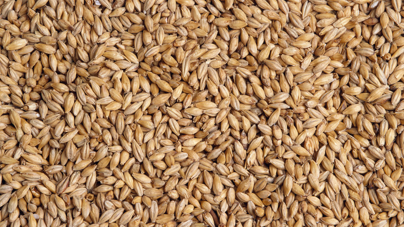 Крупнейшая в ЕП фракция призвала Польшу, Венгрию и Словакию не ослаблять Украину