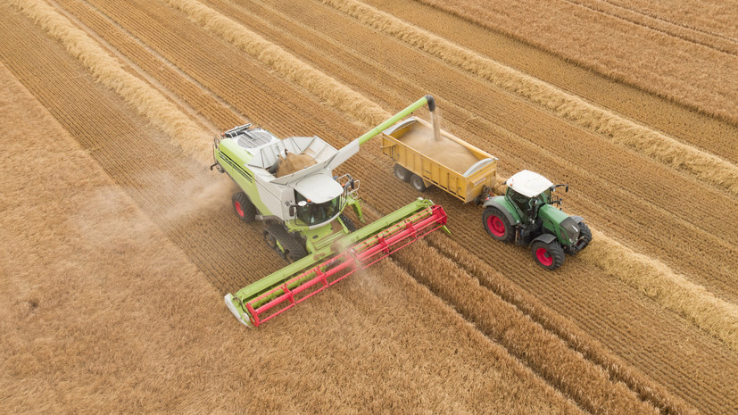 Кабмин Румынии выделит €20 млн для поддержки сельхозпроизводителей