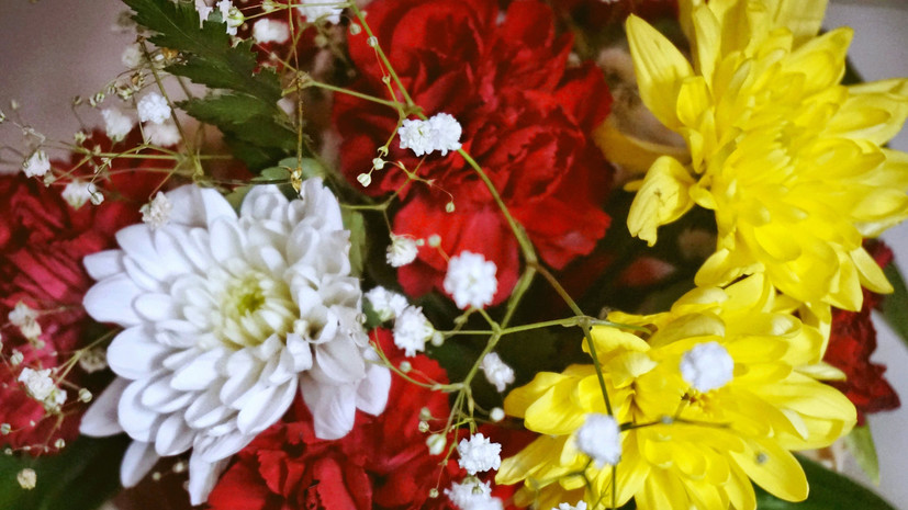 Власти Тверской области поздравили ветерана Великой Отечественной войны Волынскую со 100-летием