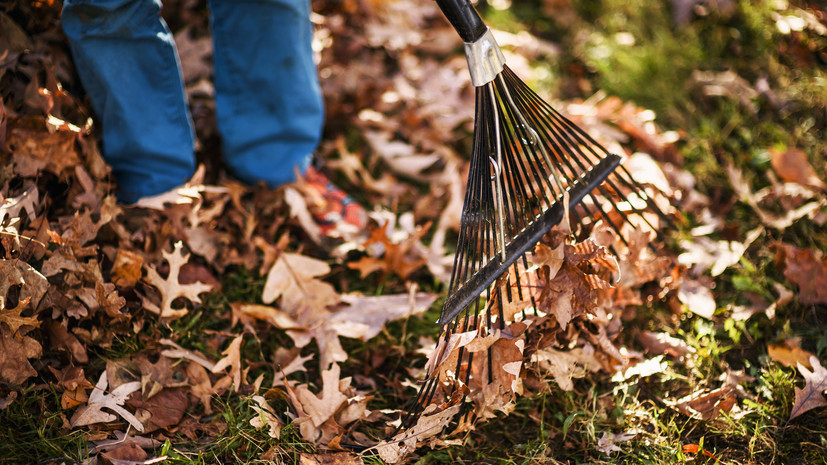 В Подмосковье определили более 1000 площадок для проведения Всероссийского субботника