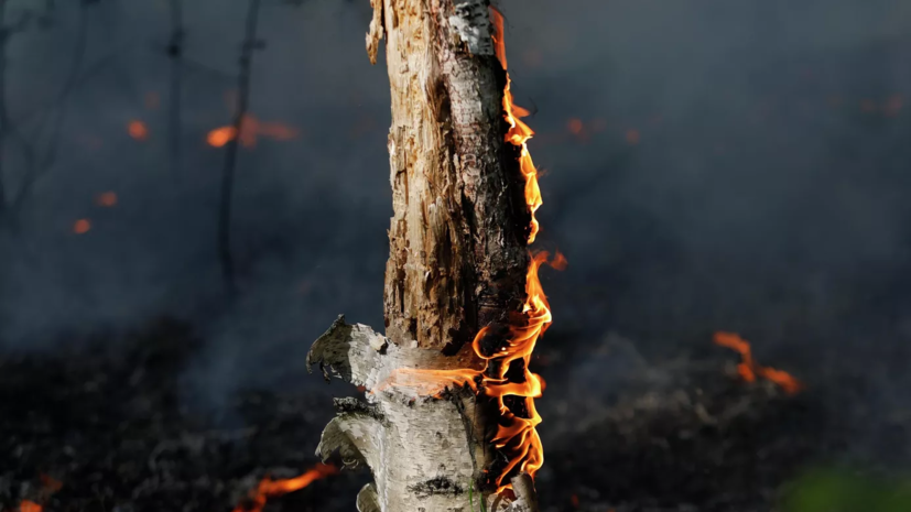В Кировской области введён особый противопожарный режим