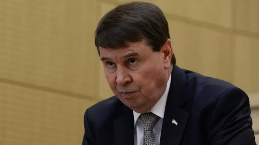 Сенатор Цеков назвал глупым заявление Вайкуле о памятниках советским воинам