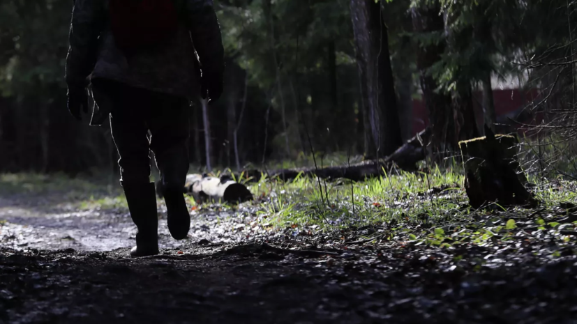 В лесах Подмосковья ввели ограничение на пребывание граждан до 30 апреля