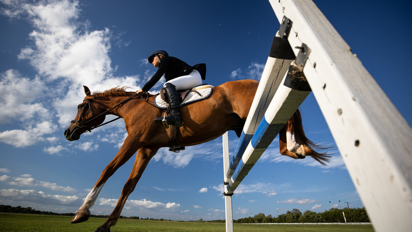 Российских спортсменов не пускали на турнир по конному спорту в Ташкенте из-за формы с национальной символикой