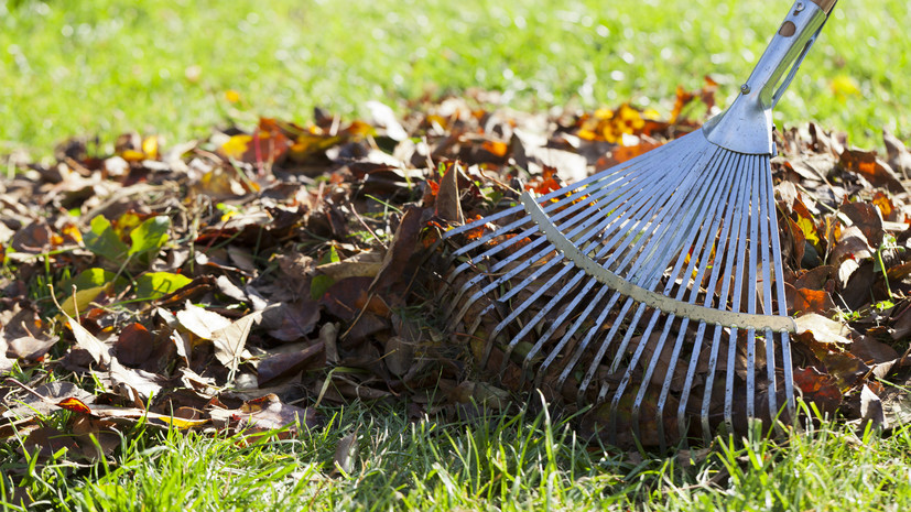 Участниками всероссийского субботника стали более 80 тысяч жителей Хабаровского края