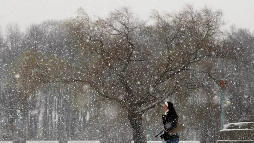 В ЯНАО синоптики прогнозируют метель и ветер до 20 м/с 28 апреля
