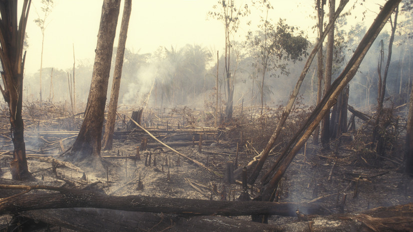 В Удмуртии предупредили о высокой пожароопасности лесов