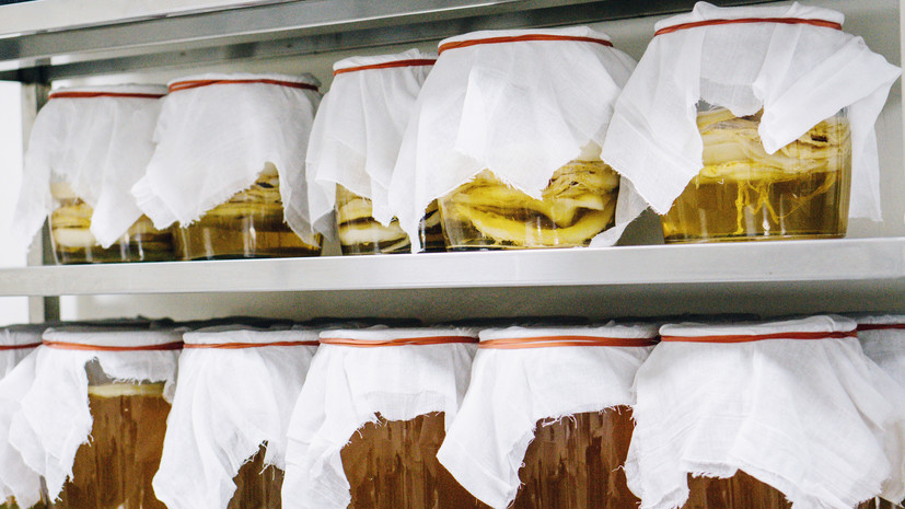 Диетолог Дюваль: напиток из чайного гриба укрепляет иммунитет