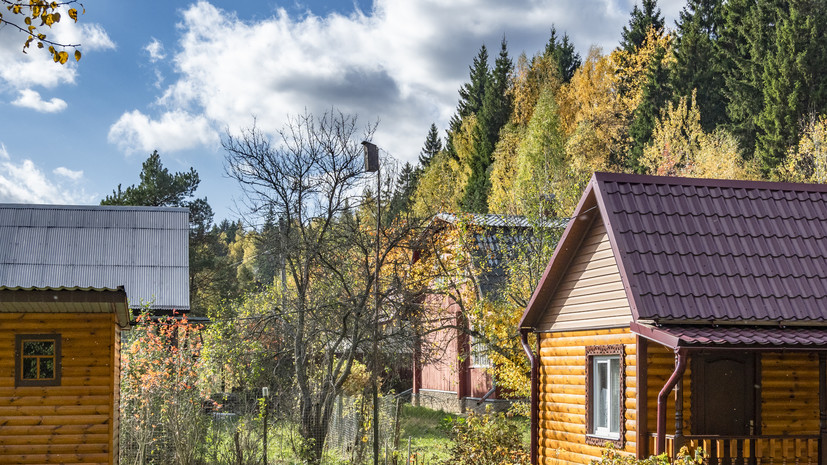 Депутат Чаплин посоветовал оспаривать штрафы за запрещённые растения на дачном участке