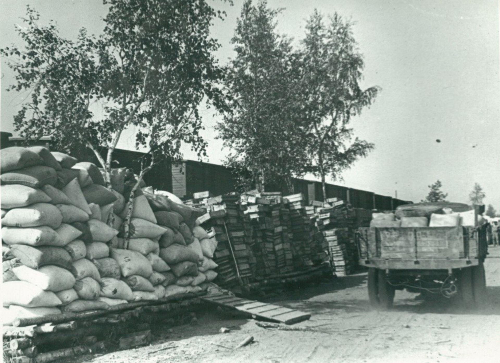 Победа над вермахтом. Железный сарай СССР. 1943 Год. Советские историки СССР. Сосна Ангарская погрузка в вагон.